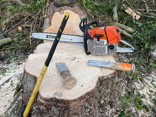 Tree stump grinding and removal