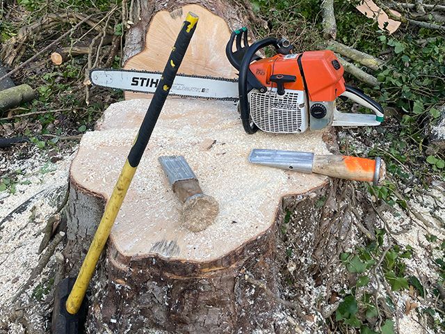 Tree stump removal