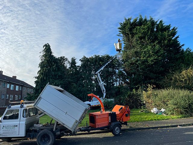 Hard Pruning Trees