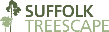 Ipswich Tree Surgeons Professional Arborists Suffolk Treescape